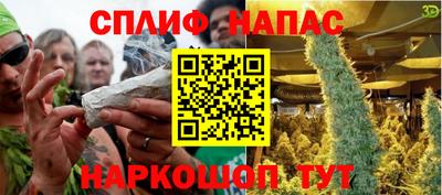 гидропоника Гусев