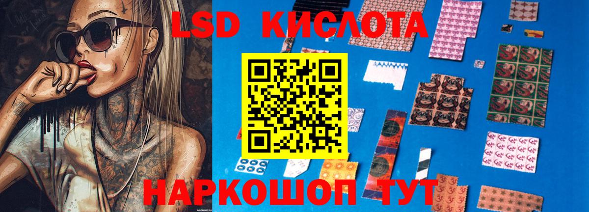 A PVP Лесозаводск